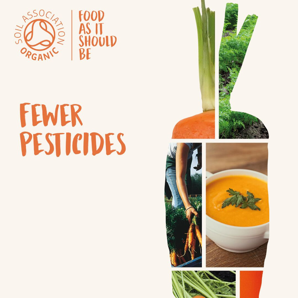 Reduce Your Exposure to Pesticides